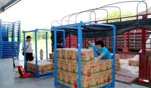 永州嘉信冷鏈倉(cāng)儲(chǔ)物流中心正式開(kāi)業(yè)，助推區(qū)域物流體系升級(jí)